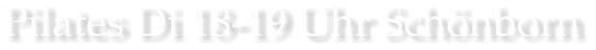 Pilates Di 18-19 Uhr Schönborn